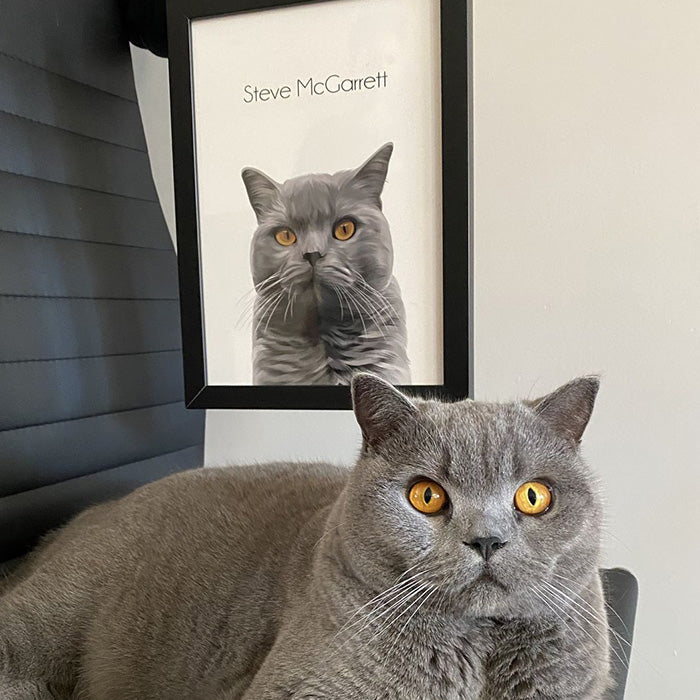 British shorthair framed cat portrait