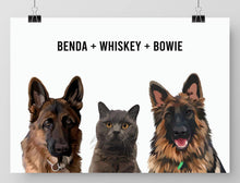 Load image into Gallery viewer, Three-pet digital portrait - Paint My Pooch