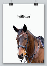Load image into Gallery viewer, Custom horse portrait