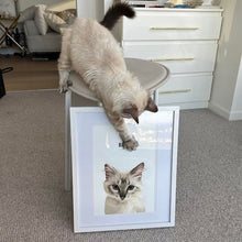 Load image into Gallery viewer, Custom Cat Portrait