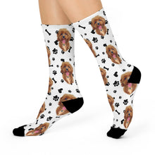 Load image into Gallery viewer, Custom pet socks
