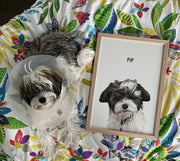 Load image into Gallery viewer, Framed portrait upgrade [8 x 10&quot;]
