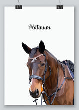 Load image into Gallery viewer, Custom horse portrait
